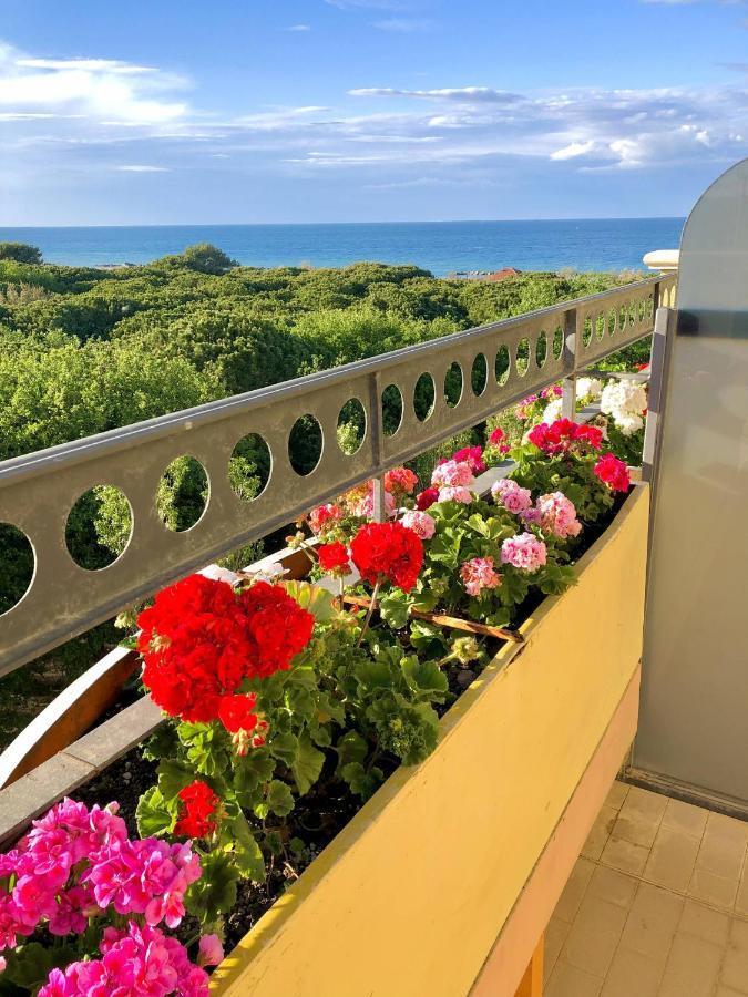 Hotel Caravel B&B Misano Adriatico Dış mekan fotoğraf